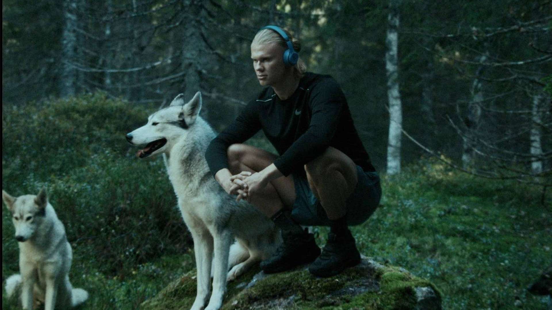 吊环作为体 吊环作为体